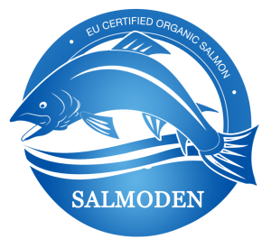 SALMODEN HOLDING LTD